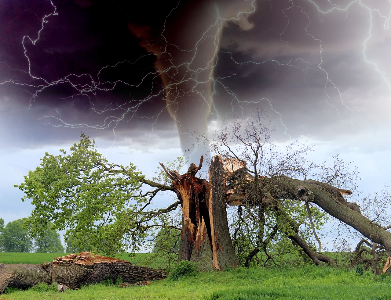 North Carolina Tornado Shelter